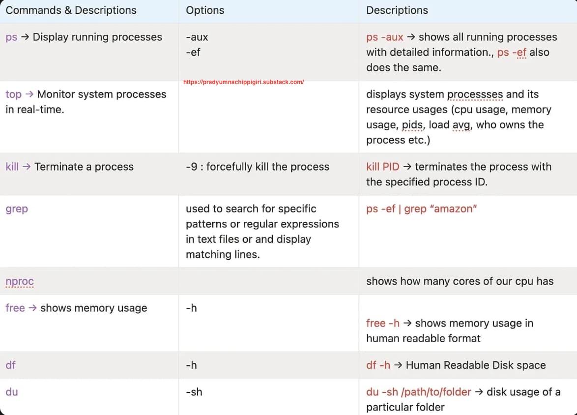Linux Process Management Commands
